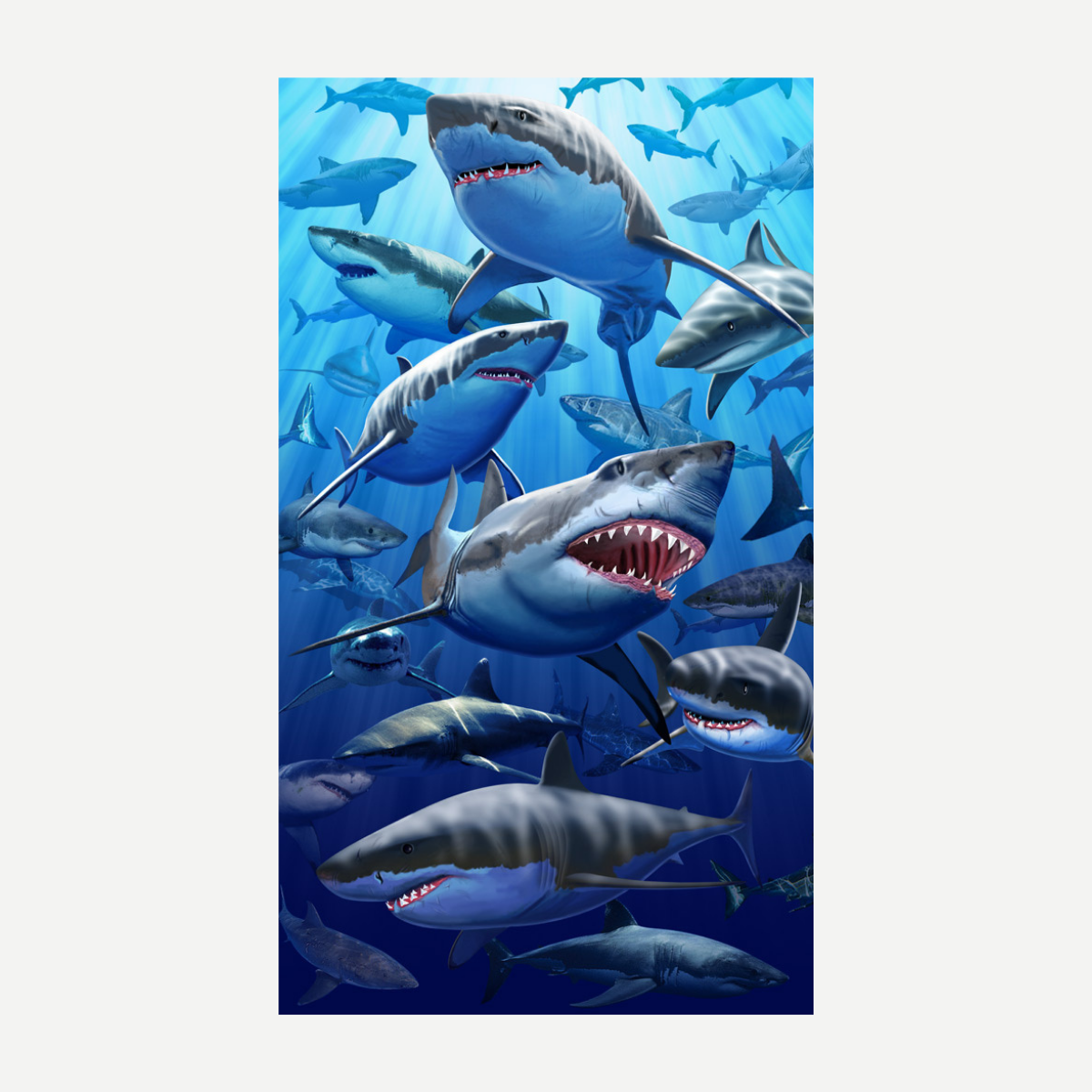 Great White Sharks Beach Towel – 40" x 70"