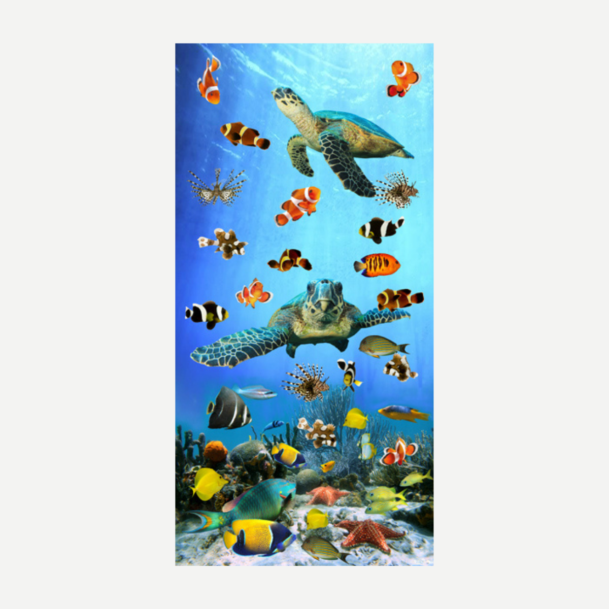 Friendly Swim Beach Towel