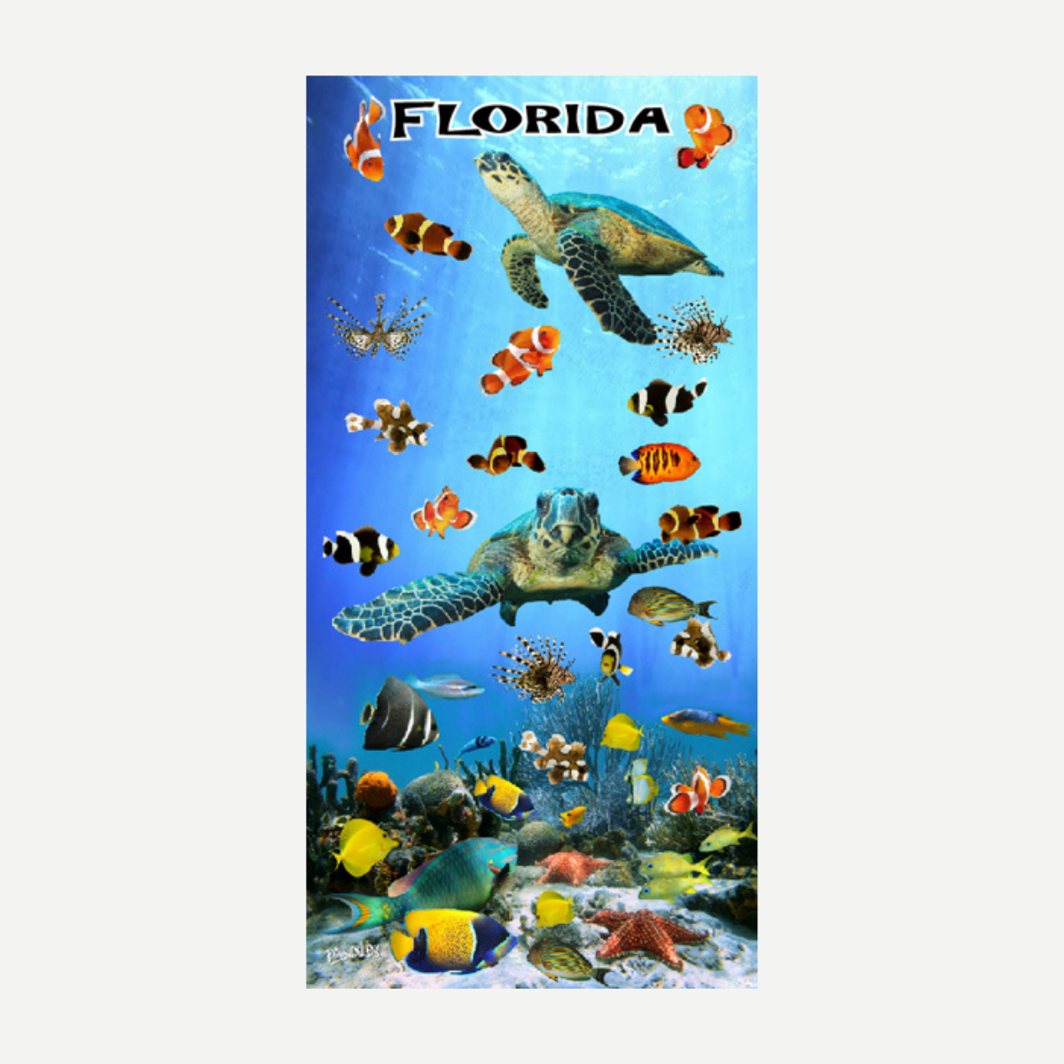 Friendly Swim Florida Beach Towel