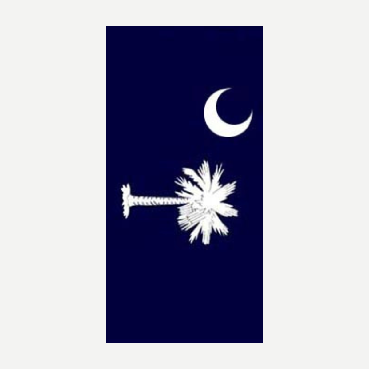 South Carolina Flag Beach Towel